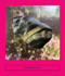 Elemental (Earth Stories) by Sarah Coolidge, Erika Kobayashi, Farkhondeh Aghaei, Andreas Moster, Dorota Brauntsch, Bakhiyar Ali, Tamar Weiss-Gabbay, 9781949641110