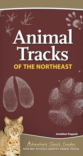 Animal Tracks of the Northeast (Your Way to Easily Identify Animal Tracks) by Jonathan Poppele, 9781647550769