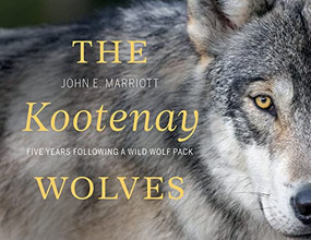 The Kootenay Wolves (Five Years Following a Wild Wolf Pack) by John E. Marriott, 9781771604949