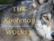 The Kootenay Wolves (Five Years Following a Wild Wolf Pack) by John E. Marriott, 9781771604949