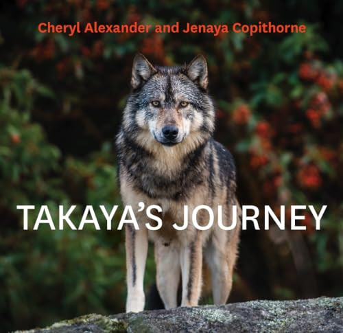 Takaya's Journey by Cheryl Alexander, Jenaya Copithorne, 9781771604895