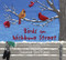 Birds on Wishbone Street by Suzanne Del Rizzo, 9781772782196
