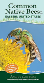 Common Native Bees of the Eastern United States (Your Way to Easily Identify Bees and Look-Alikes) by Heather Holm, 9781647551582