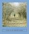 This Is Us Losing Count (Eight Russian Poets) by Sarah Coolidge, Galina Rymbu, Alla Gorbunova, Oksana Vasyakina, Ekaterina Simonova, Olga Sedakova, Nikita Sungatov, Irina Kotova, Aleksandra Tsybulia, 9781949641271