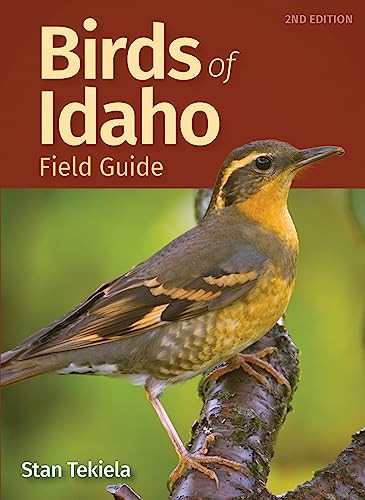 Birds of Idaho Field Guide by Stan Tekiela, 9781647551483