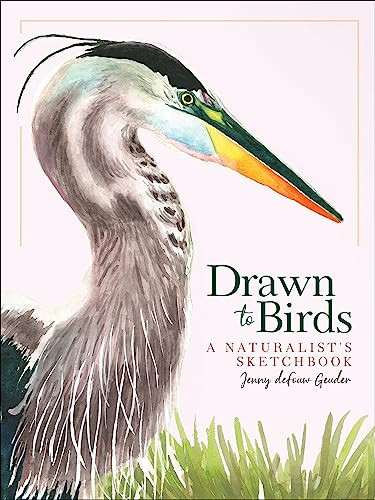 Drawn to Birds (A Naturalist's Sketchbook) by Jenny deFouw Geuder, 9781647552251