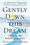 Gently Down This Dream (Notes on My Sudden Departure) by Hugh Prather, Gayle Prather, 9781608688418