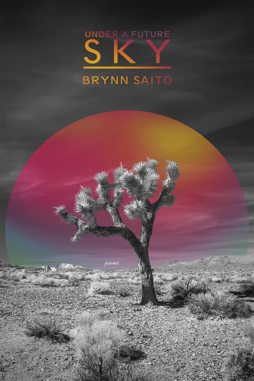 Under a Future Sky by Brynn Saito, 9781636281070