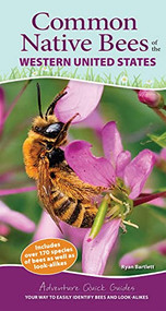 Common Native Bees of the Western United States (Your Way to Easily Identify Bees and Look-Alikes) by Ryan Bartlett, 9781647553630