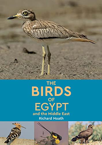 The Birds of Egypt and the Middle East by Richard Hoath, 9781649031242