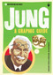 Introducing Jung (A Graphic Guide) by Maggie Hyde, Michael McGuiness, 9781848310100