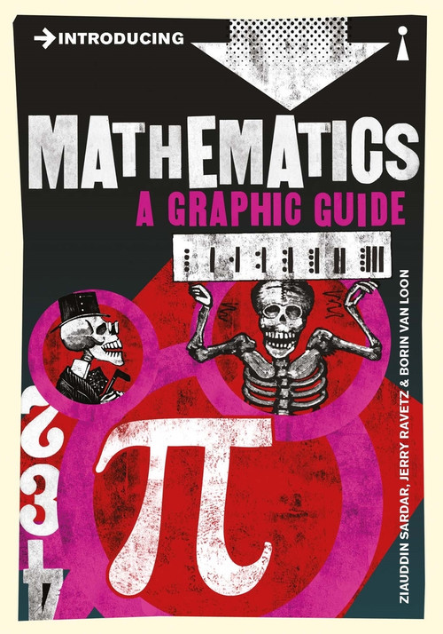 Introducing Mathematics (A Graphic Guide) by Jerry Ravetz, Ziauddin Sardar, Borin van Loon, 9781848312975