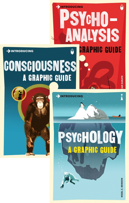 Introducing Graphic Guide box set - Know Thyself by Angus Gellatly, David Papineau, Nigel Benson, Howard Selina, Oscar Zarate, 9781848318717