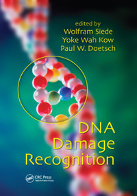 DNA Damage Recognition by Wolfram Siede, Paul W. Doetsch, 9780367392130
