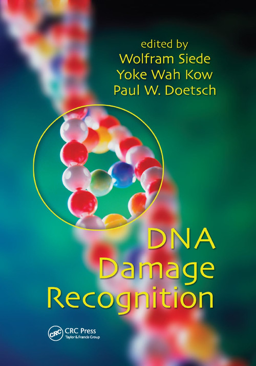 DNA Damage Recognition by Wolfram Siede, Paul W. Doetsch, 9780367392130