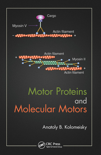 Motor Proteins and Molecular Motors by Anatoly B. Kolomeisky, 9780367575762