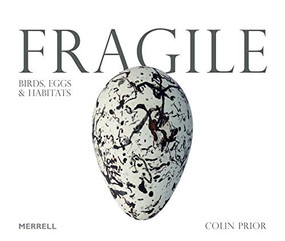 Fragile: Birds, Eggs and Habitats by Colin Prior, Des Thompson, 9781858946887