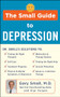 The Small Guide to Depression by Gary Small, Gigi Vorgan, 9781630061593