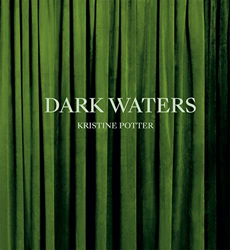 Kristine Potter: Dark Waters by Kristine Potter, Rebecca Bengal, Julia Schäfer, 9781597115568