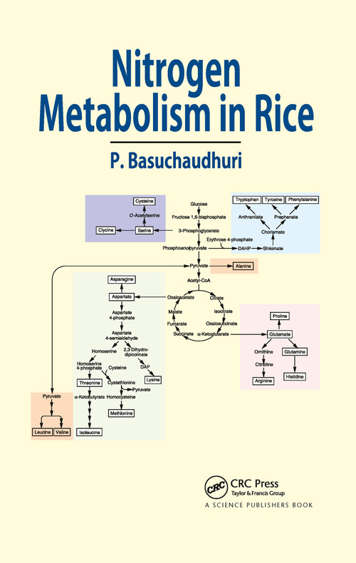 Nitrogen Metabolism in Rice by Pranab Basuchaudhuri, 9780367783129