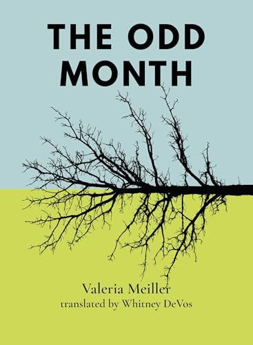 The Odd Month by Valeria Meiller, Whitney DeVos, 9781939568915