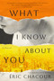 What I Know About You by Éric Chacour, Pablo Strauss, 9781552454855
