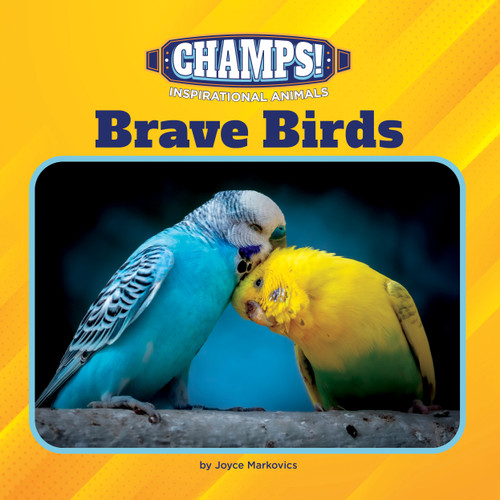 Brave Birds by Joyce Markovics, 9781668946848