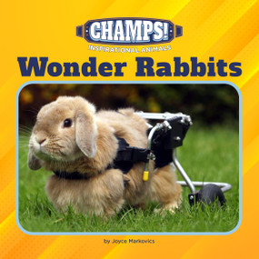 Wonder Rabbits by Joyce Markovics, 9781668946862