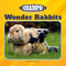 Wonder Rabbits by Joyce Markovics, 9781668946862