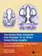 The Human Brain during the First Trimester 15- to 18-mm Crown-Rump Lengths (Atlas of Human Central Nervous System Development, Volume 3) by Shirley A. Bayer, Joseph Altman, 9781032219288