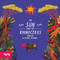 The Sun and The Rhinoceros by Ndalu de Almeida, Catalina Vasquez, 9781849769044