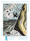 Angela Harding: Cornish Path (Foiled Quarto Journal) by Flame Tree Studio, 9781804179017