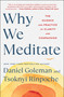 Why We Meditate (The Science and Practice of Clarity and Compassion) - 9781982178468 by Daniel Goleman, Tsoknyi Rinpoche, 9781982178468