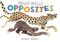 Hello Hello Opposites by Brendan Wenzel, 9781797219981