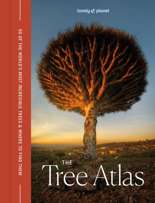 Lonely Planet The Tree Atlas by Lonely Planet, Matthew Collins, 9781837582679