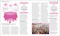 The Politics Book (Big Ideas Simply Explained) by DK, 9780593847077