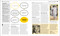 The Politics Book (Big Ideas Simply Explained) by DK, 9780593847077