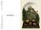 Fungarium Postcard Box Set by Gaya Ester, Katie Scott, 9781536238389
