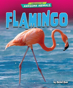 Flamingo - 9798892324984 by Rachel Rose, 9798892324984