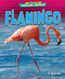 Flamingo - 9798892324984 by Rachel Rose, 9798892324984
