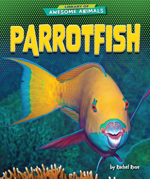 Parrotfish - 9798892325011 by Rachel Rose, 9798892325011