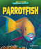 Parrotfish - 9798892325011 by Rachel Rose, 9798892325011