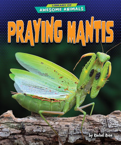 Praying Mantis - 9798892325028 by Rachel Rose, 9798892325028