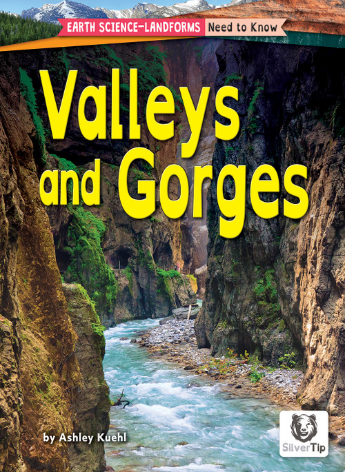 Valleys and Gorges by Ashley Kuehl, 9798892325288