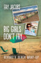 Big Girls Don't Fry (Rehoboth Beach Wrap-Up) by Fay Jacobs, 9781612942896