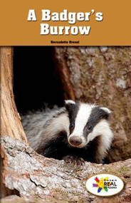 A Badger's Burrow by Bernadette Brexel, 9781499492989