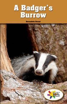 A Badger's Burrow by Bernadette Brexel, 9781499492989
