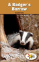 A Badger's Burrow by Bernadette Brexel, 9781499492989