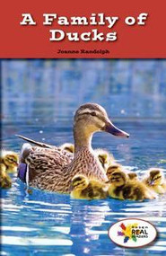 A Family of Ducks by Joanne Randolph, 9781499496338