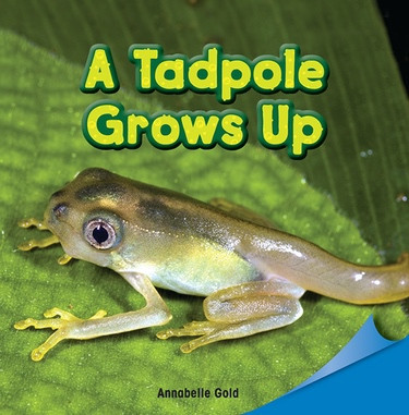 A Tadpole Grows Up by Annabelle Gold, 9781448889839